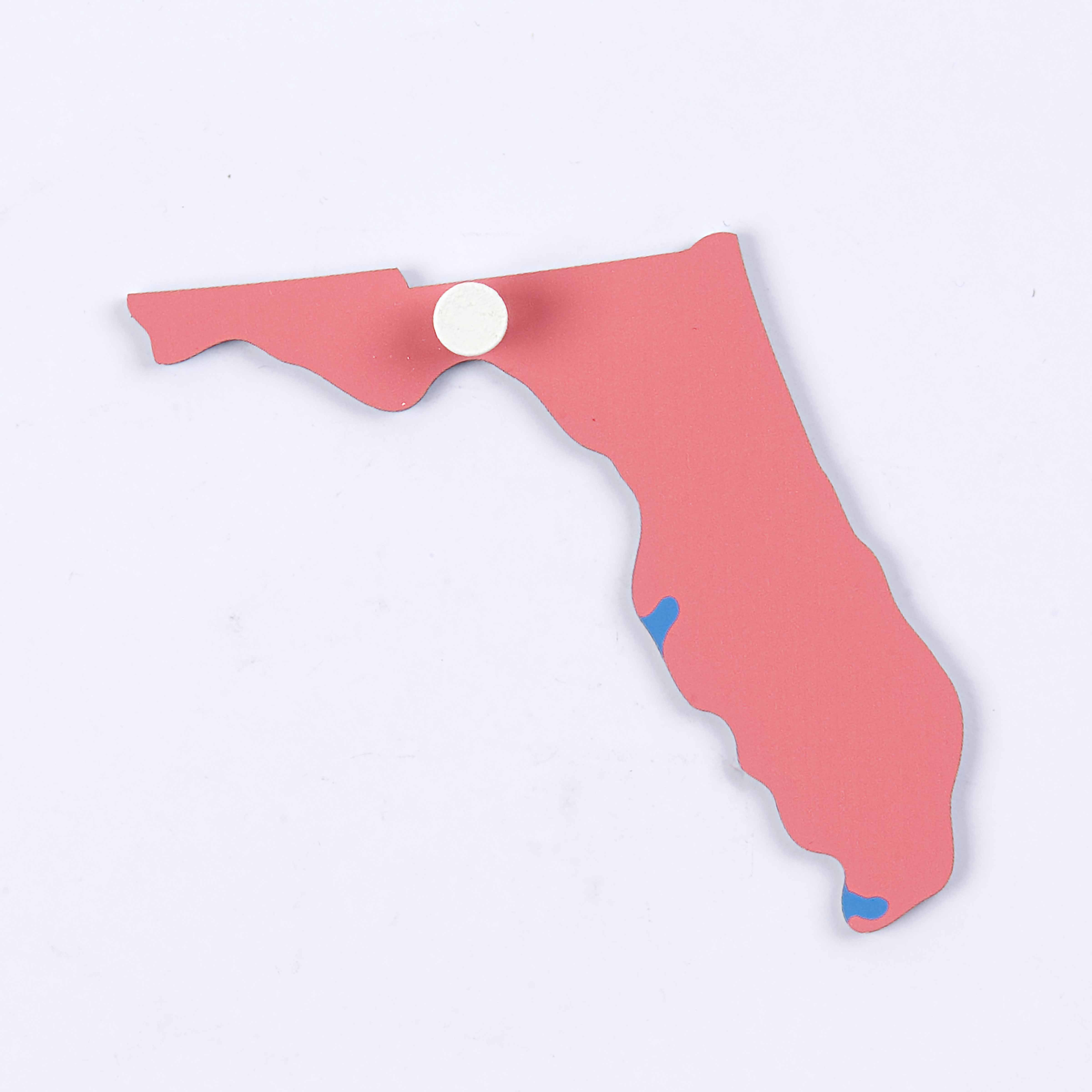 Puzzle Piece Of Usa: Florida