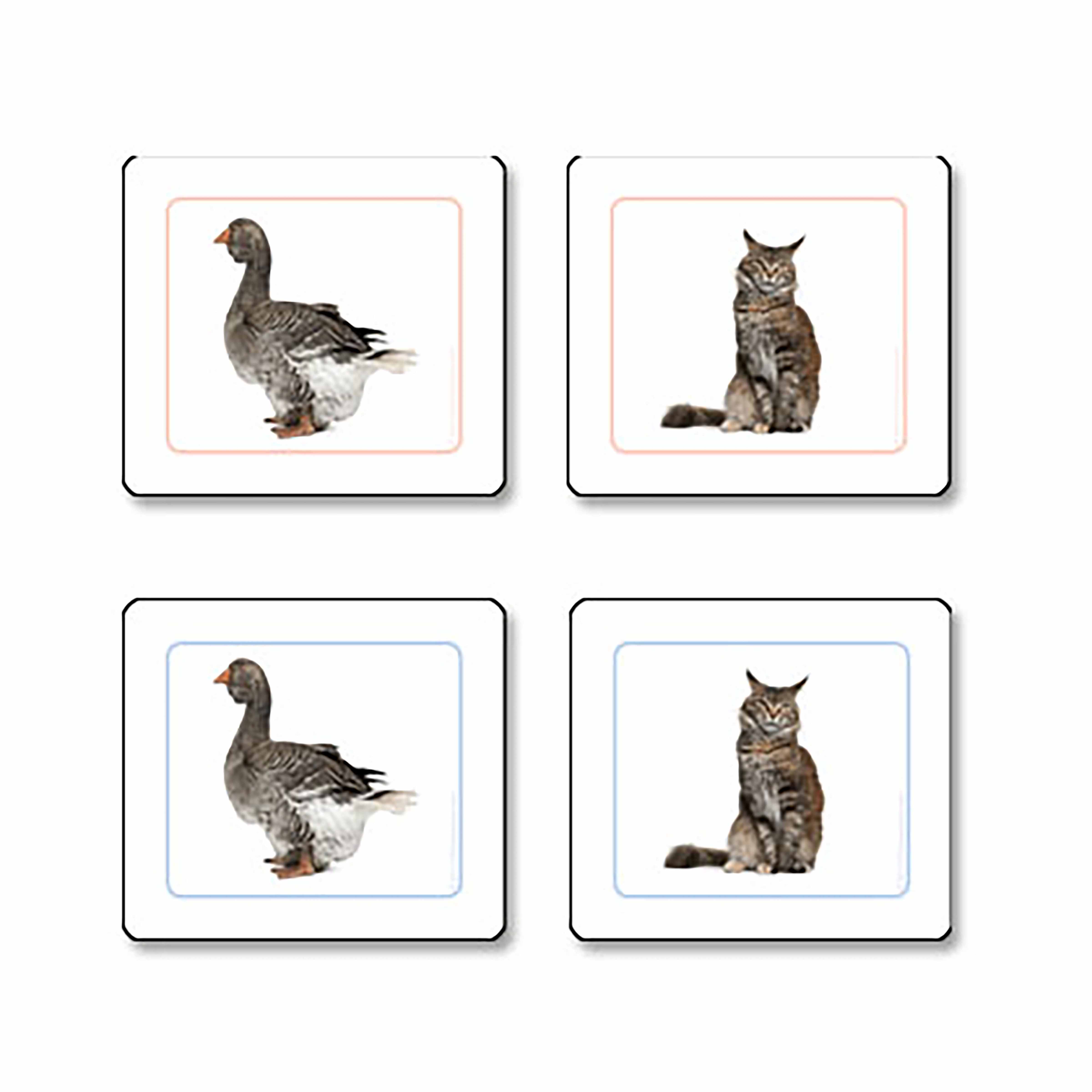 Animales Domésticos Trabajo De Emparejar