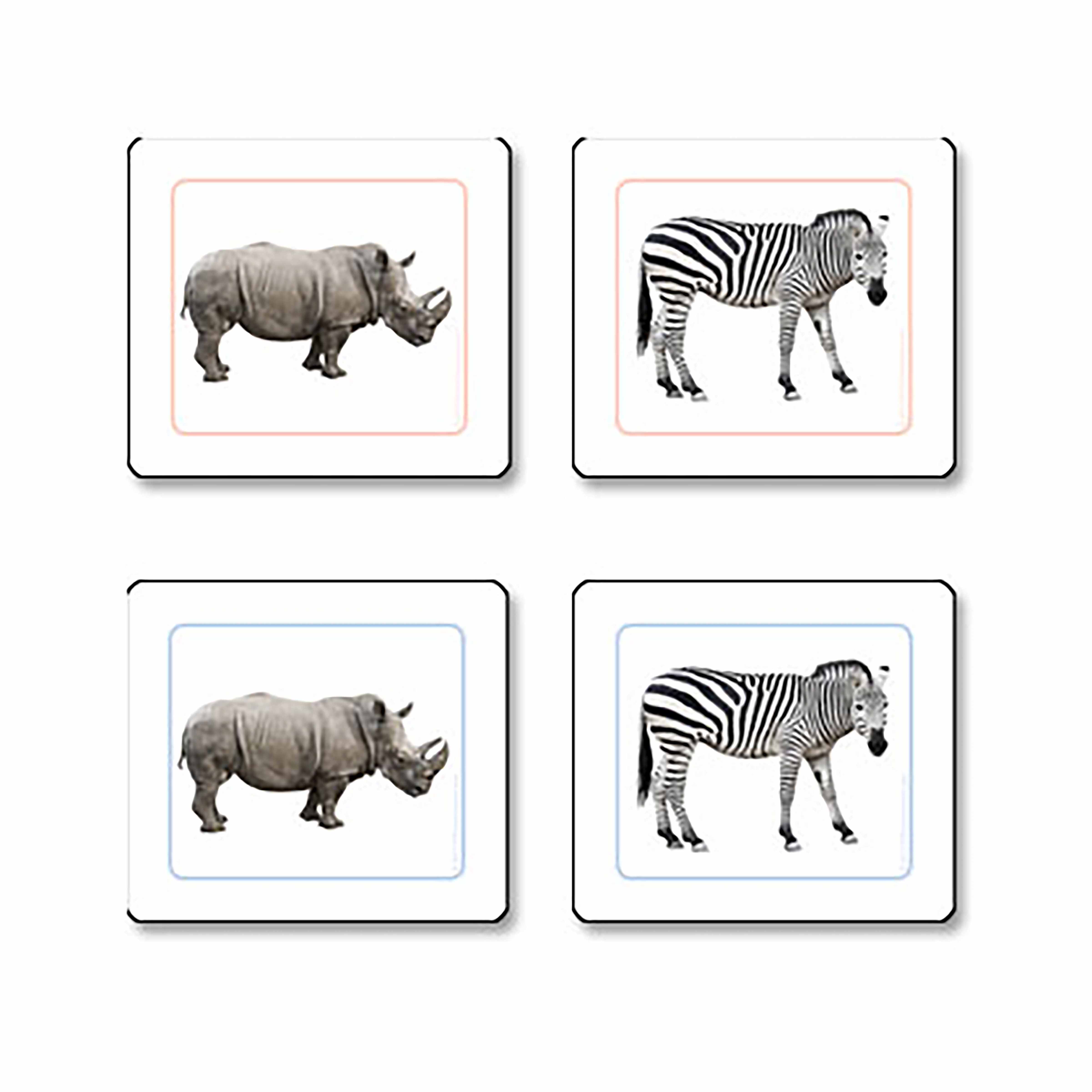 Animales Africanos Trabajo De Emparejar