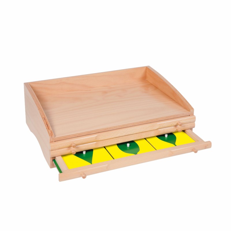 Botany Cabinet