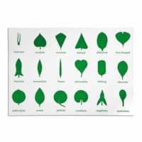 Botany Cabinet Control Chart