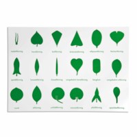 Lernplakat Botanische Kommode (German version)