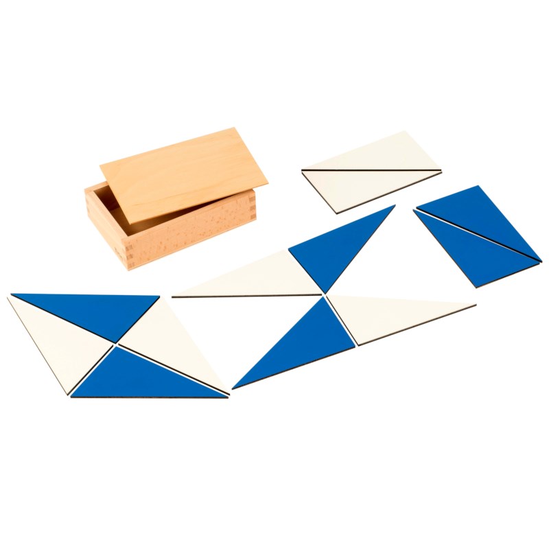 12 Identical Blue Triangles