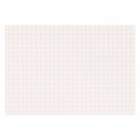 Squared Paper: 10 mm (250)