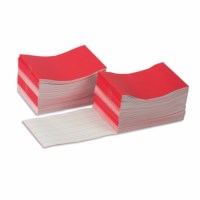 Writing Booklets: Red – Large (100)