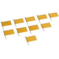 Extra Flags: Gold (10)
