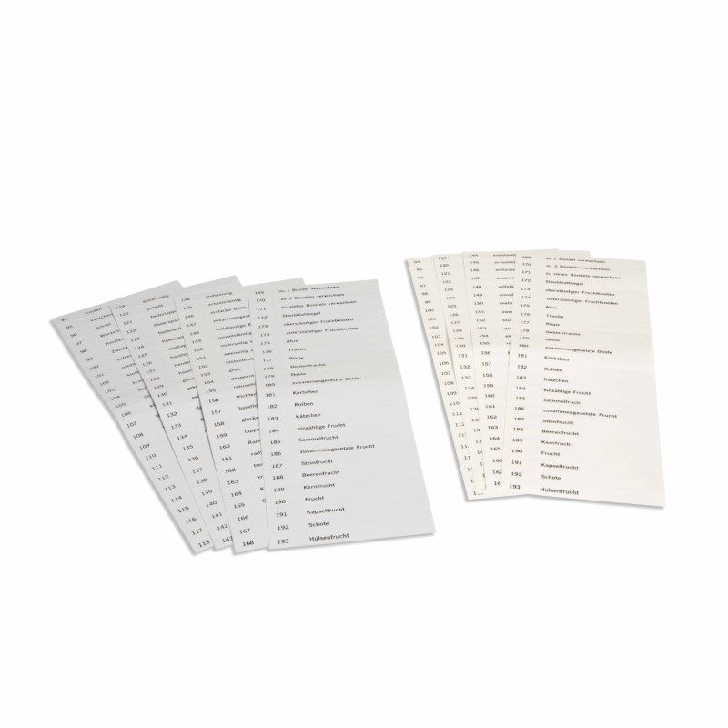 Name Cards - Third Set Of Botany Cards (German version)