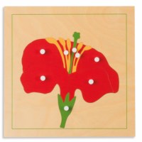 Botany Puzzle: Flower