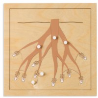 Botany Puzzle: Root