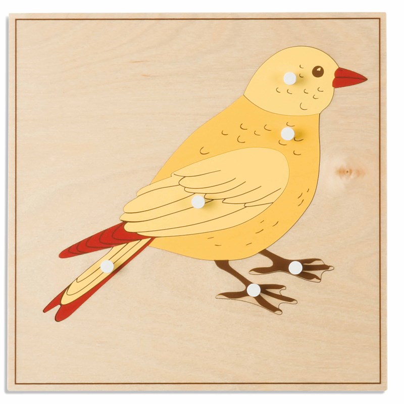 Animal Puzzle: Bird