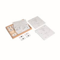 Botany Puzzle Activity Set