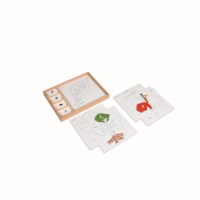 Botany Puzzle Activity Set