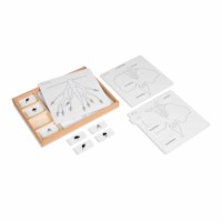 Botany Puzzle Activity Set (German version)