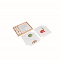 Botany Puzzle Activity Set (German version)