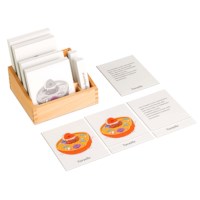 Animal Cell Nomenclature Cards: German