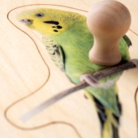 Toddler Puzzle: Parakeet