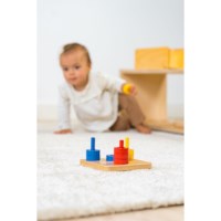Colored Discs On Colored Dowels