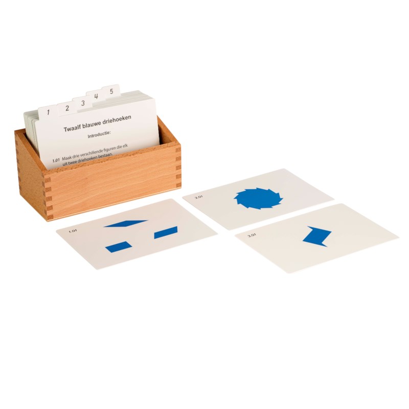 12 Identical Blue Triangles Activity Set (Dutch Version)