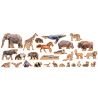 The Animal Continent Box