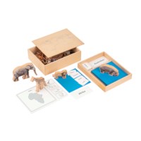 The Animal Continent Box (German version)