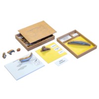 The Animal Ocean Box