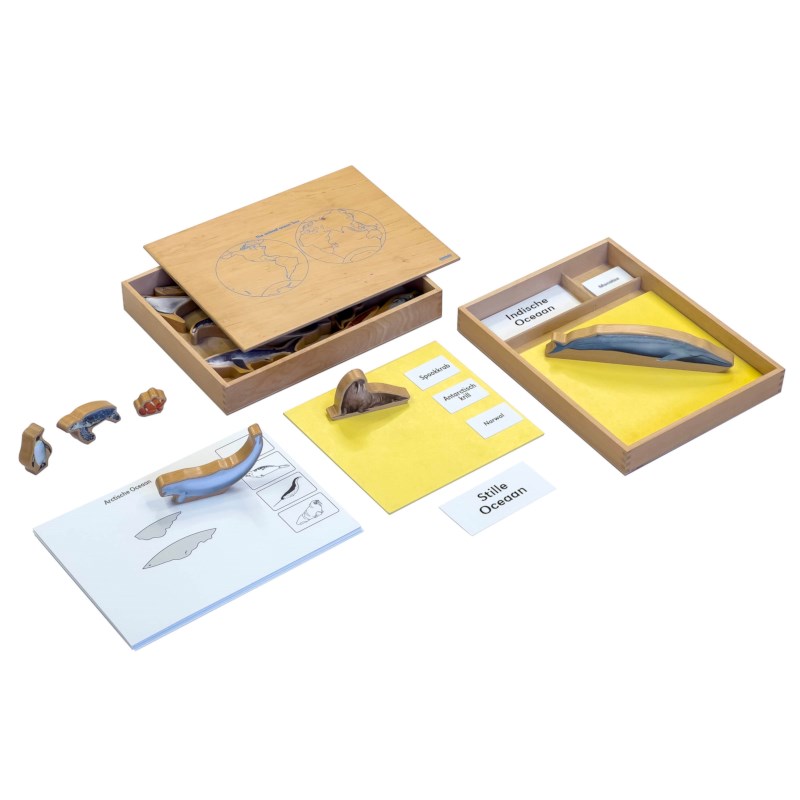 The Animal Ocean Box