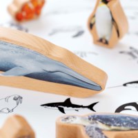The Animal Ocean Box
