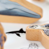 The Animal Ocean Box