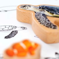 The Animal Ocean Box