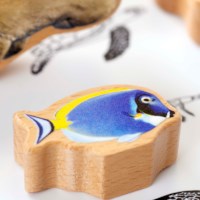 The Animal Ocean Box