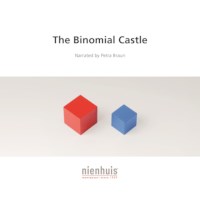 The Binomial Castle