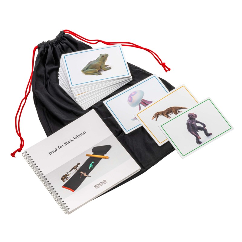 Cards And Book For The Black Ribbon