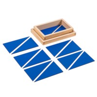 12 Identical Blue Triangles