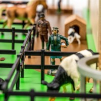 The Farm