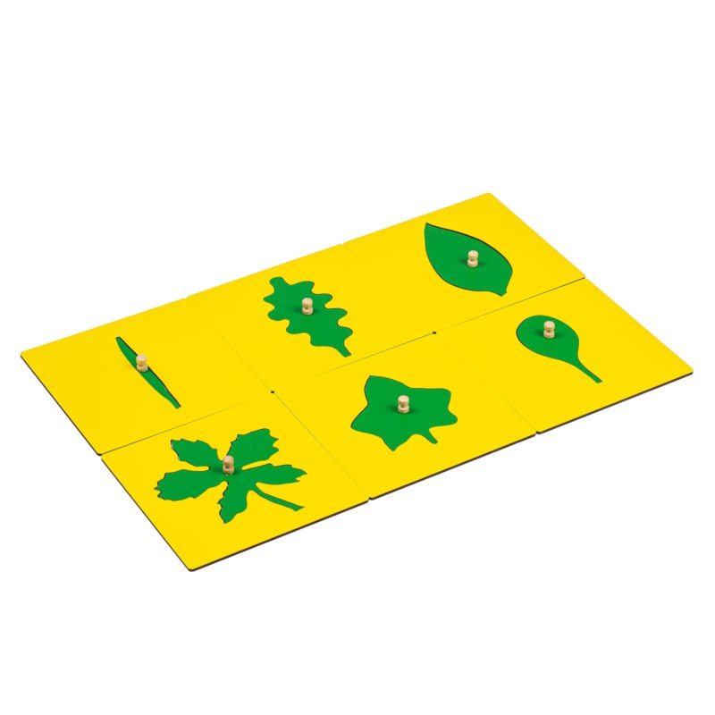 Leaf Shapes Insets