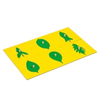 Leaf Shapes Insets