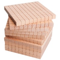 Base 10 flats (10)