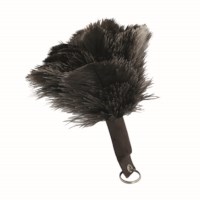 Feather Duster