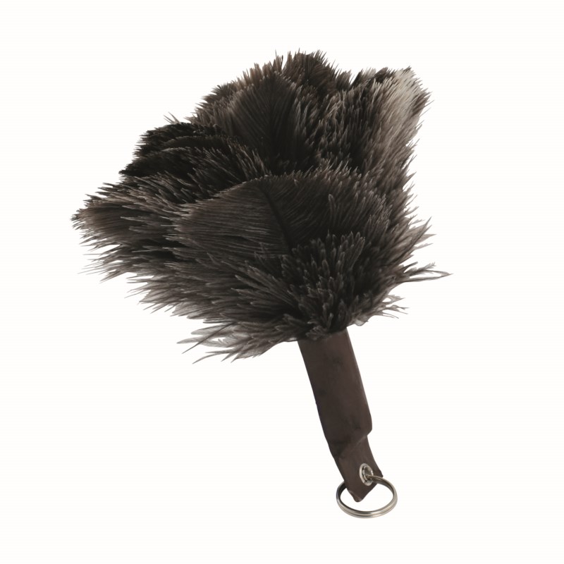 Feather Duster