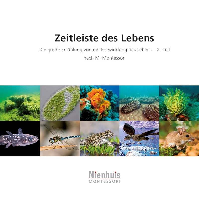Kosmische Leseheftchen - Zeitleiste des Lebens (German version)