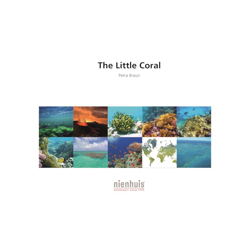 The Little Coral