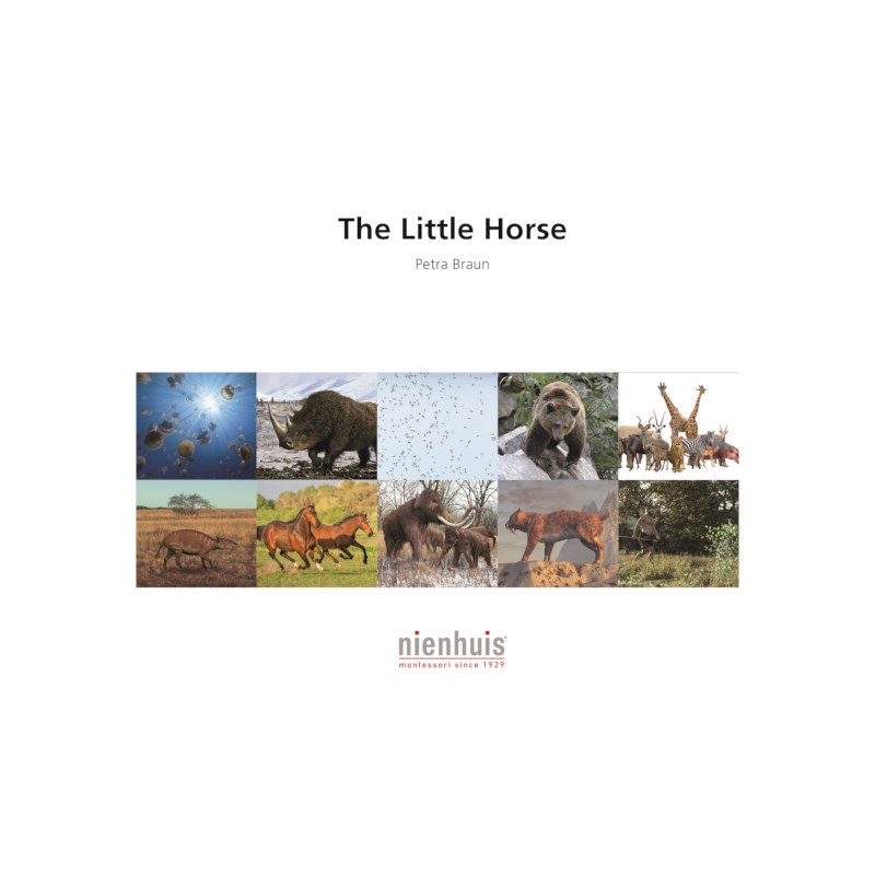 The Little Horse