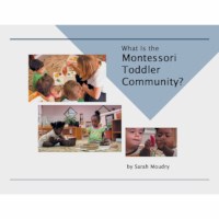 What Is The Montessori Toddler Community?