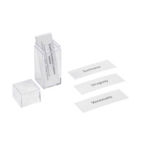 South America: Labels