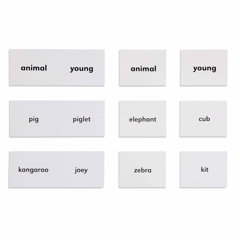 Animals And Their Young