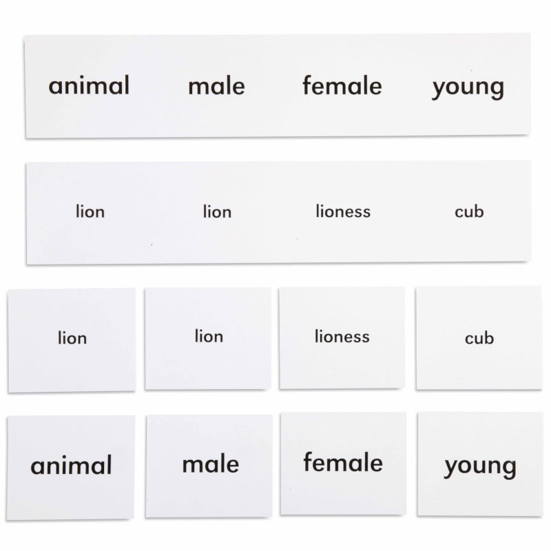 Animal Names