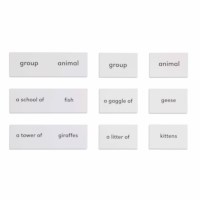 Animals And Their Groups