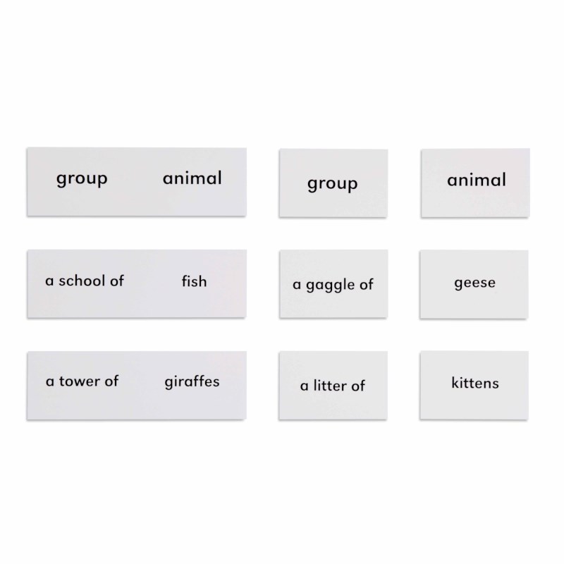 Animals And Their Groups