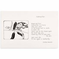 Illustrated Poems
