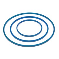 Sports Hoop: Blue (60 cm.)